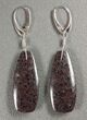 Dark, Spiderweb, Agatized Dinosaur Bone (Gembone) Earrings #84746-1